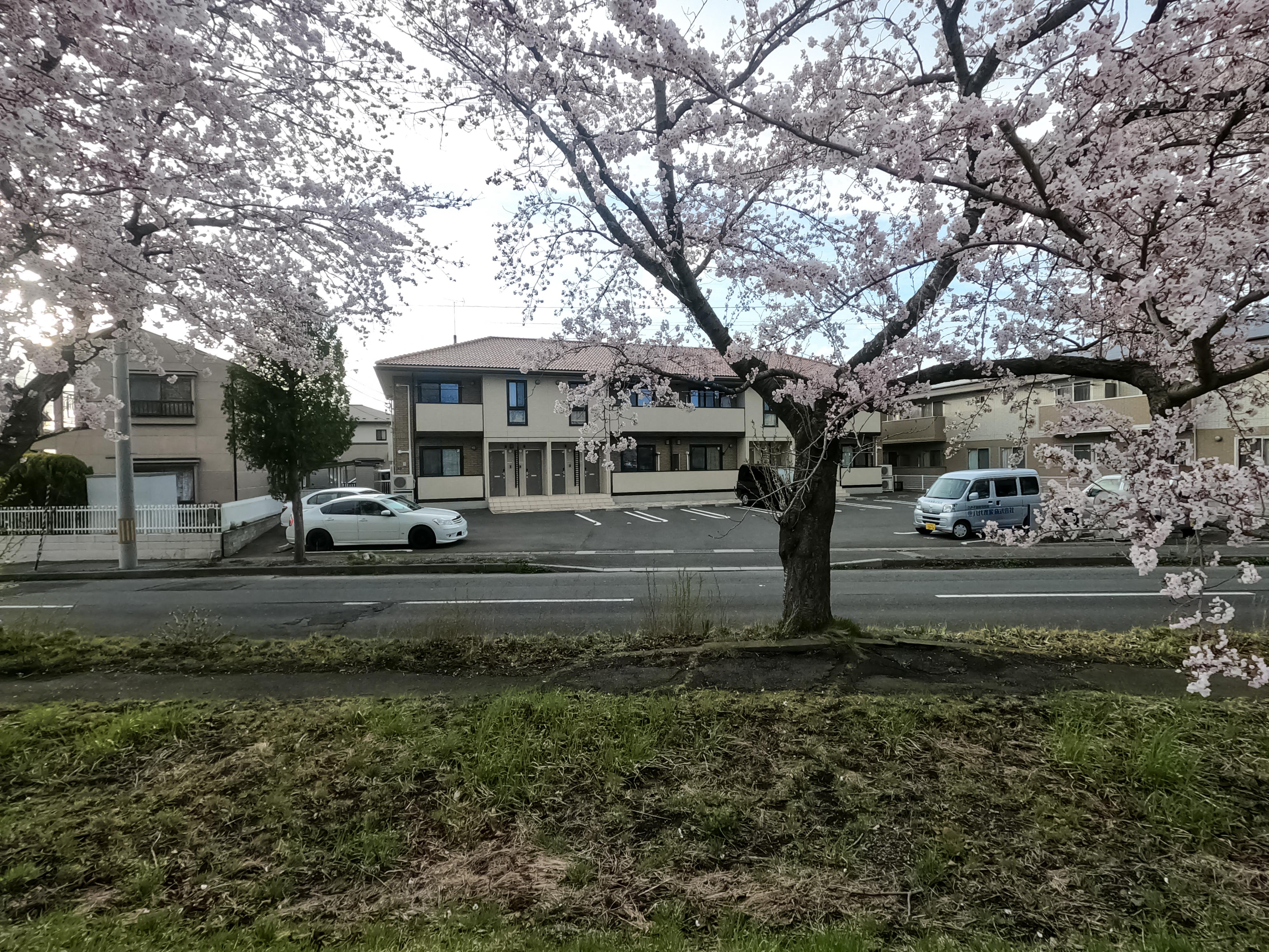 ★D-room★オール電化★インターネット無料★アムール桜