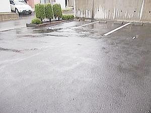 ★大東建託★ペット可(犬・猫)★インターネット無料★アルカディア