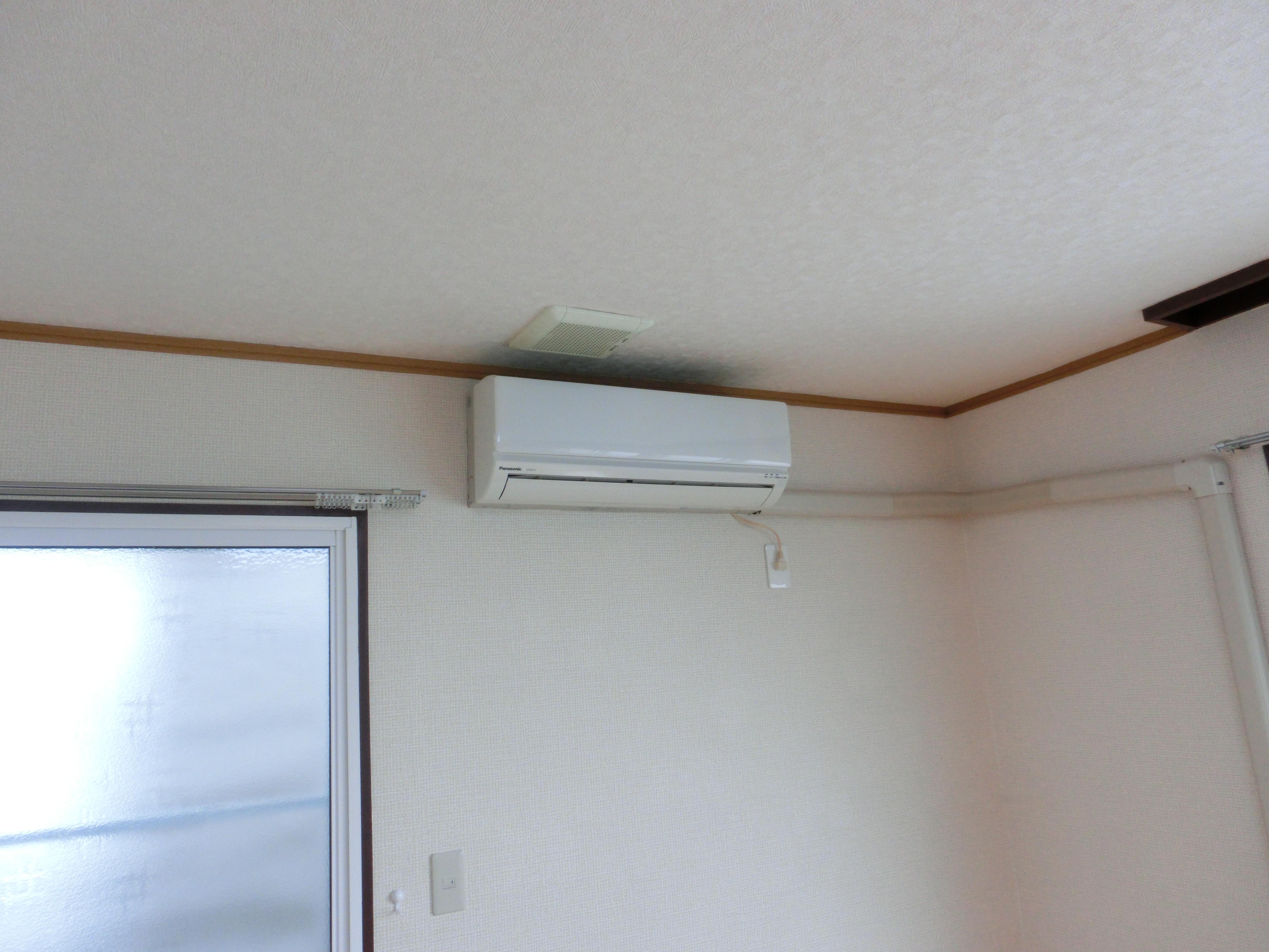 セインオークラ