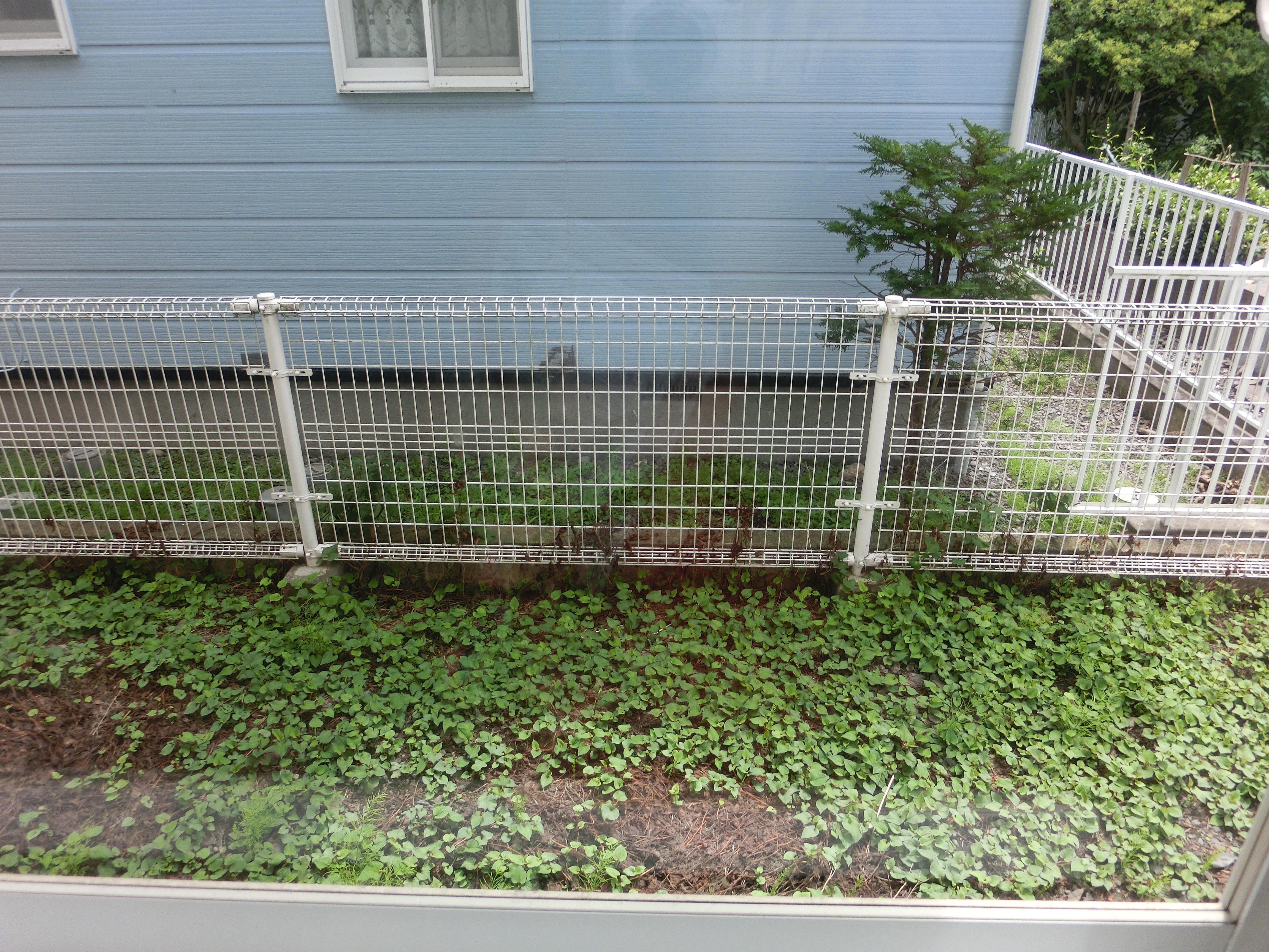 レジデンス城下