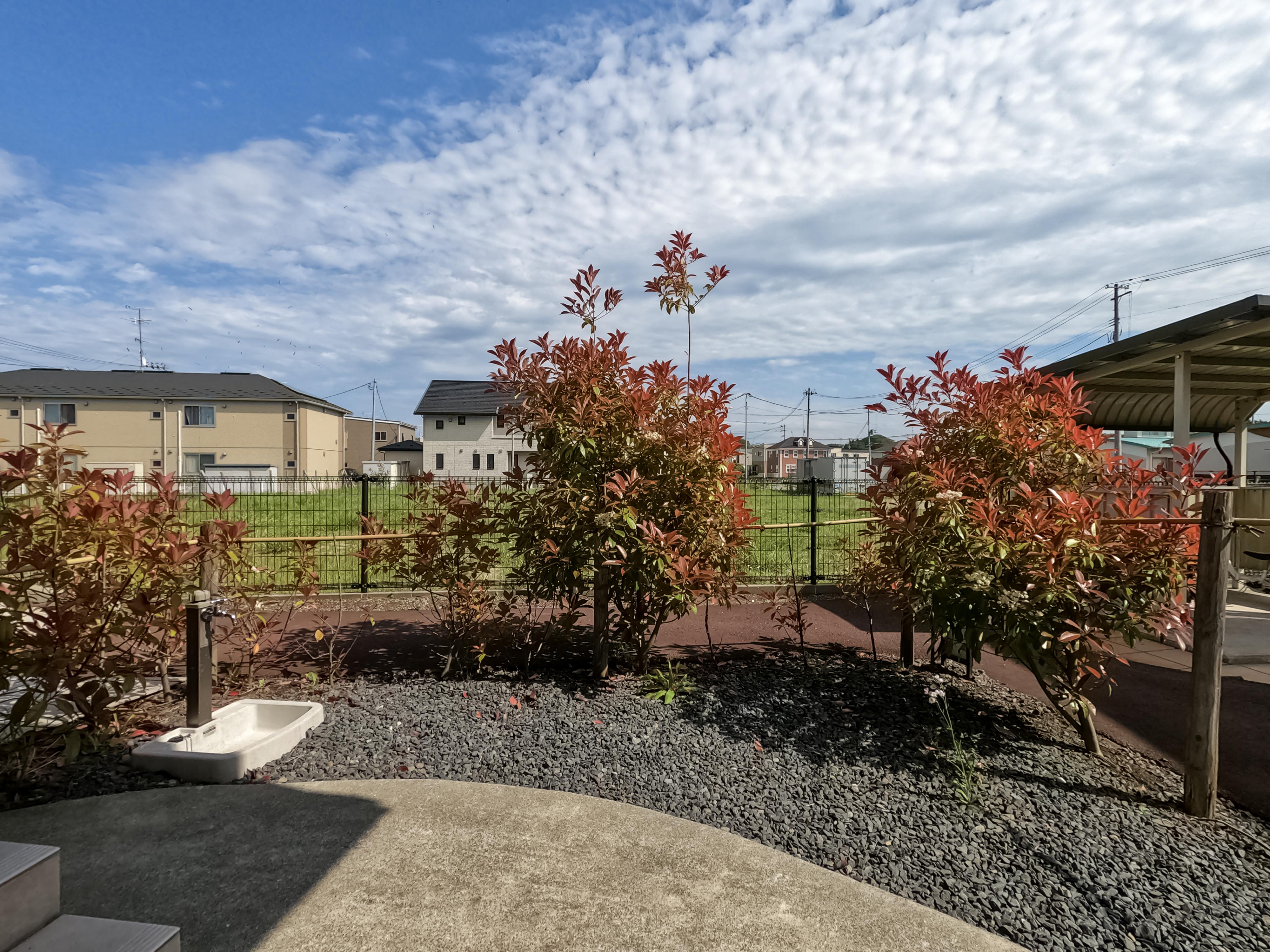 ★D-room★オール電化★ペット可(小型犬)★シャイニー コート