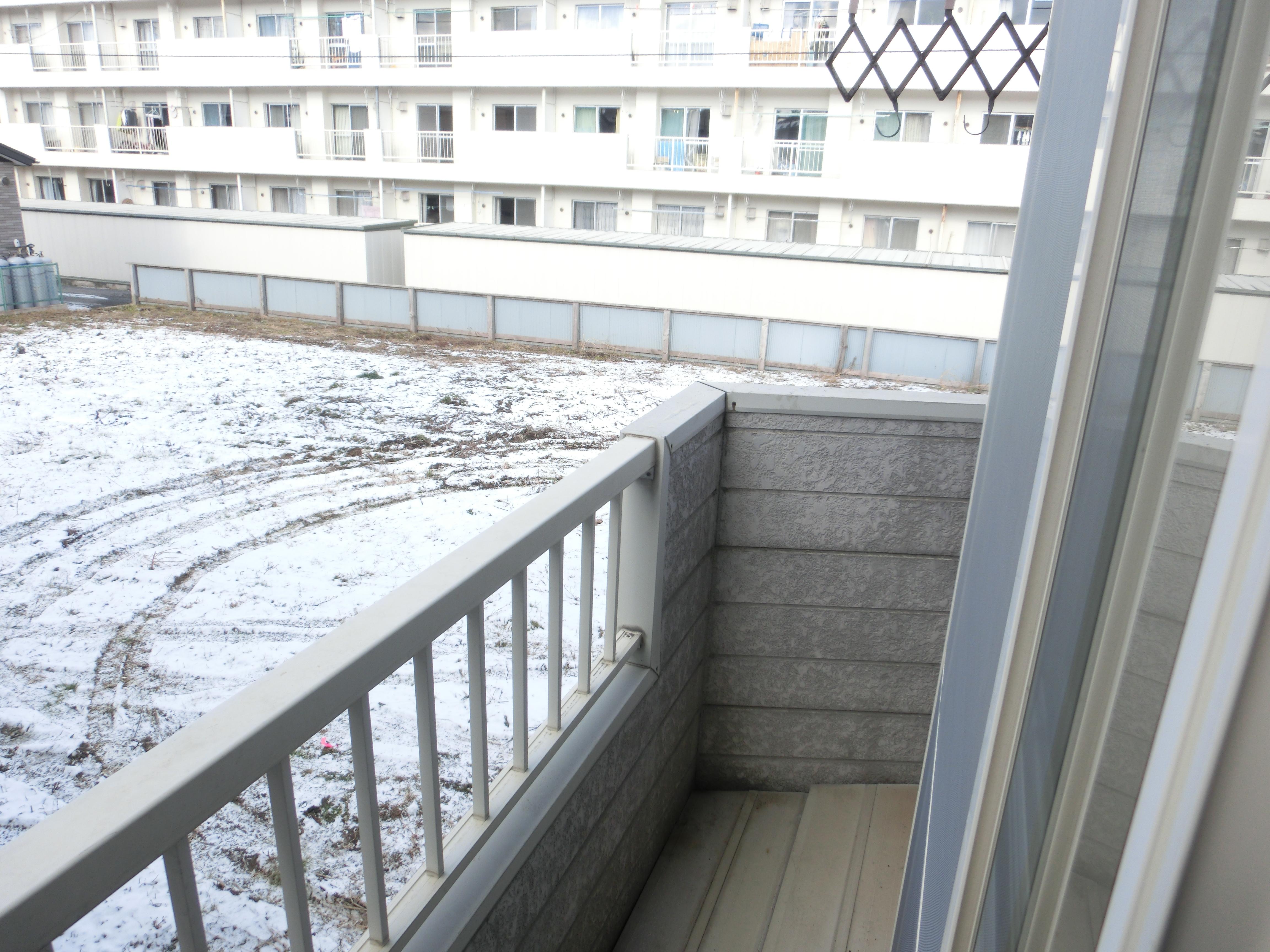 ★D-room★第七ドエル開洋