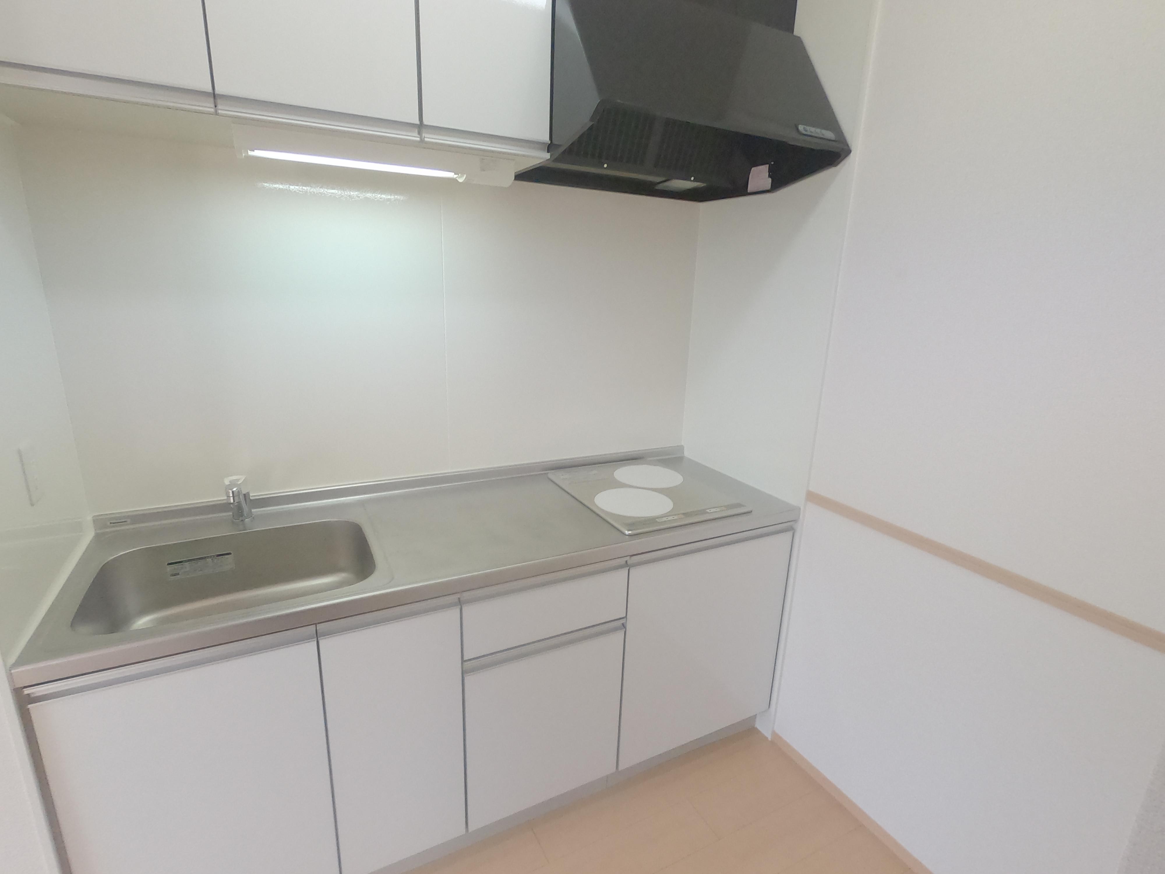 ★D-room★オール電化★ペット可(小型犬)★インターネットWi-Fi無料★メゾン・ルーチェ