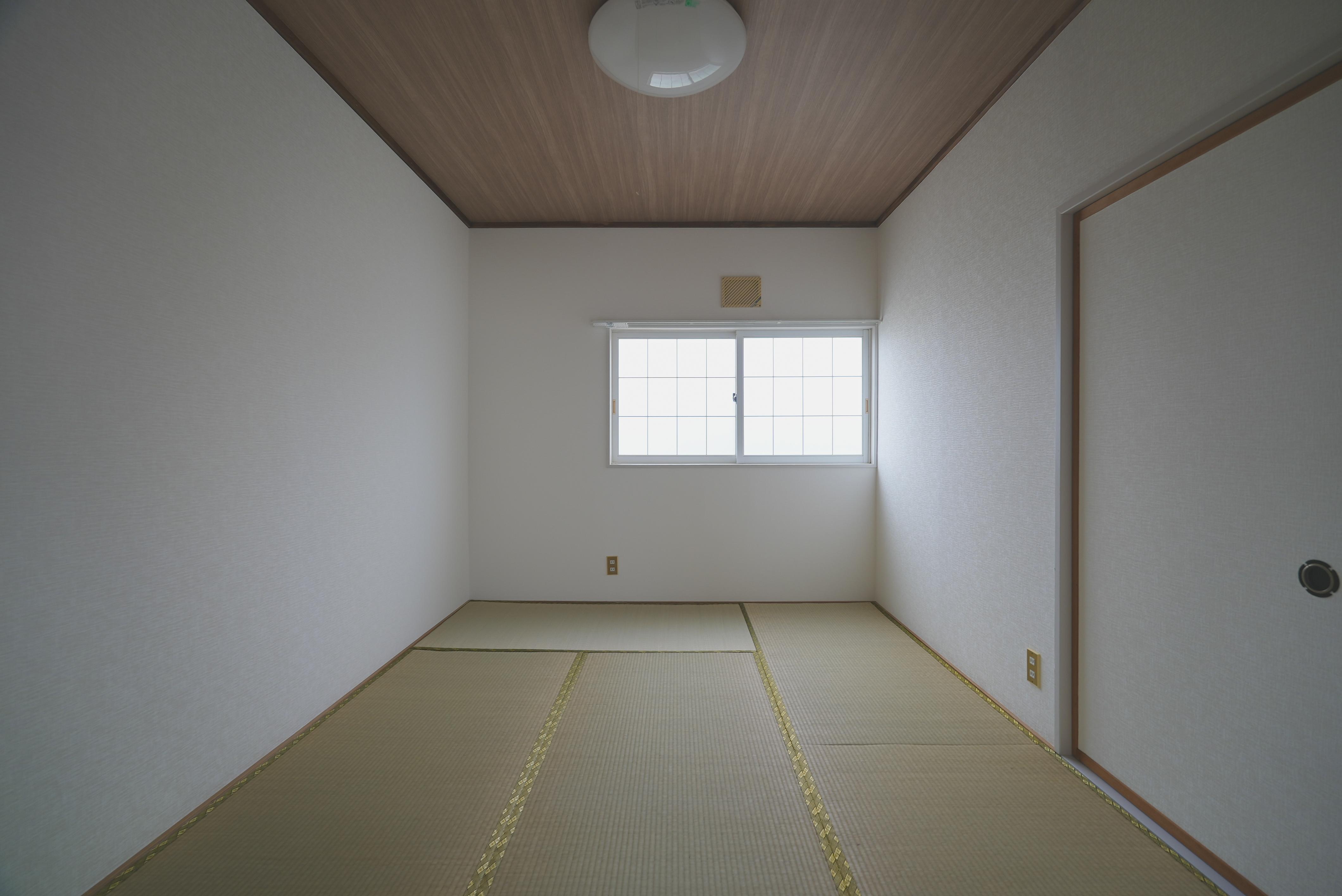 コスモハイツカメリア